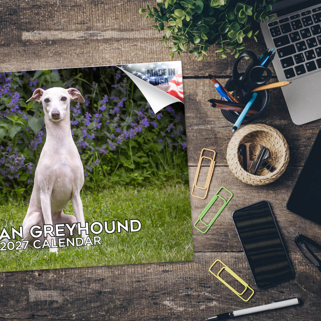 Italian Greyhound Wall Calendar 2027 - 12" x 9" 14-Month Dog Breed Calendar