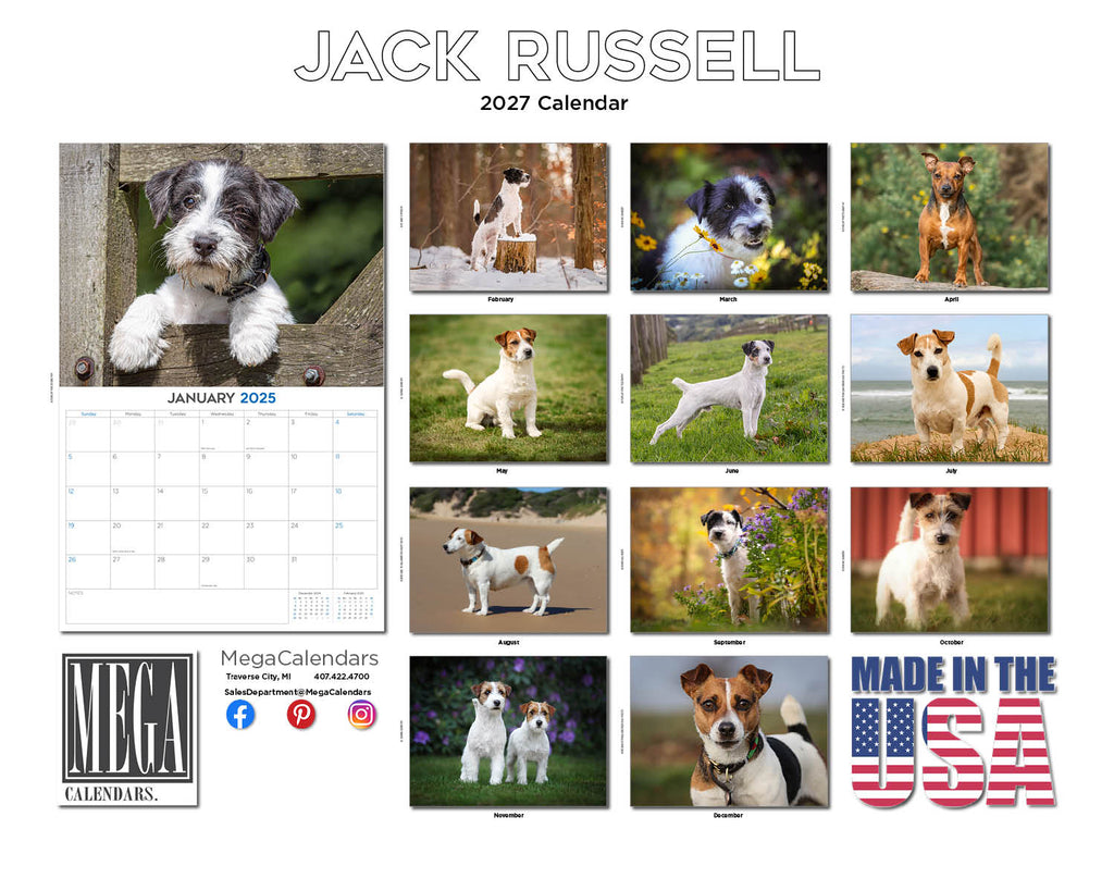 Jack Russell Terrier Wall Calendar 2027 - 12" x 9" 14-Month Dog Breed Calendar