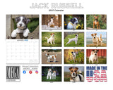 Jack Russell Terrier Wall Calendar 2027 - 12" x 9" 14-Month Dog Breed Calendar