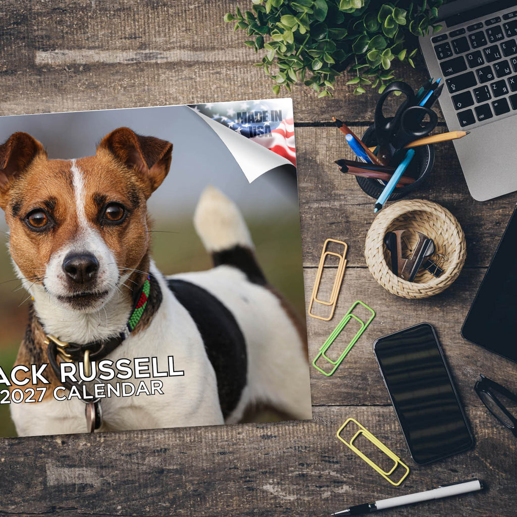 Jack Russell Terrier Wall Calendar 2027 - 12" x 9" 14-Month Dog Breed Calendar