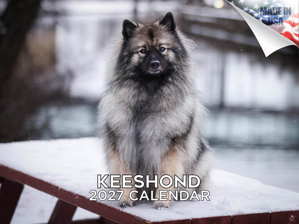 Keeshond Wall Calendar 2027 - 12" x 9" 14-Month Dog Breed Calendar
