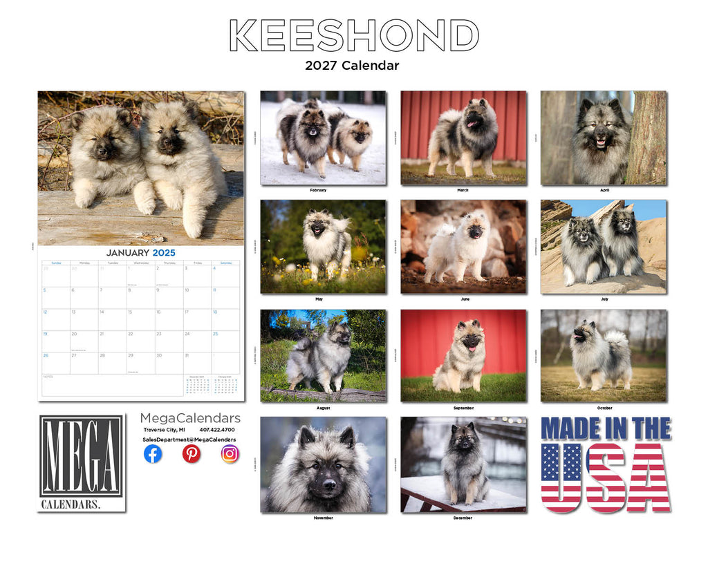 Keeshond Wall Calendar 2027 - 12" x 9" 14-Month Dog Breed Calendar