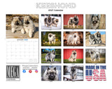 Keeshond Wall Calendar 2027 - 12" x 9" 14-Month Dog Breed Calendar