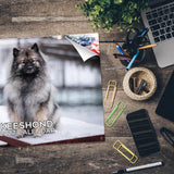 Keeshond Wall Calendar 2027 - 12" x 9" 14-Month Dog Breed Calendar