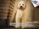 Labradoodle Wall Calendar 2027 - 12" x 9" 14-Month Dog Breed Calendar