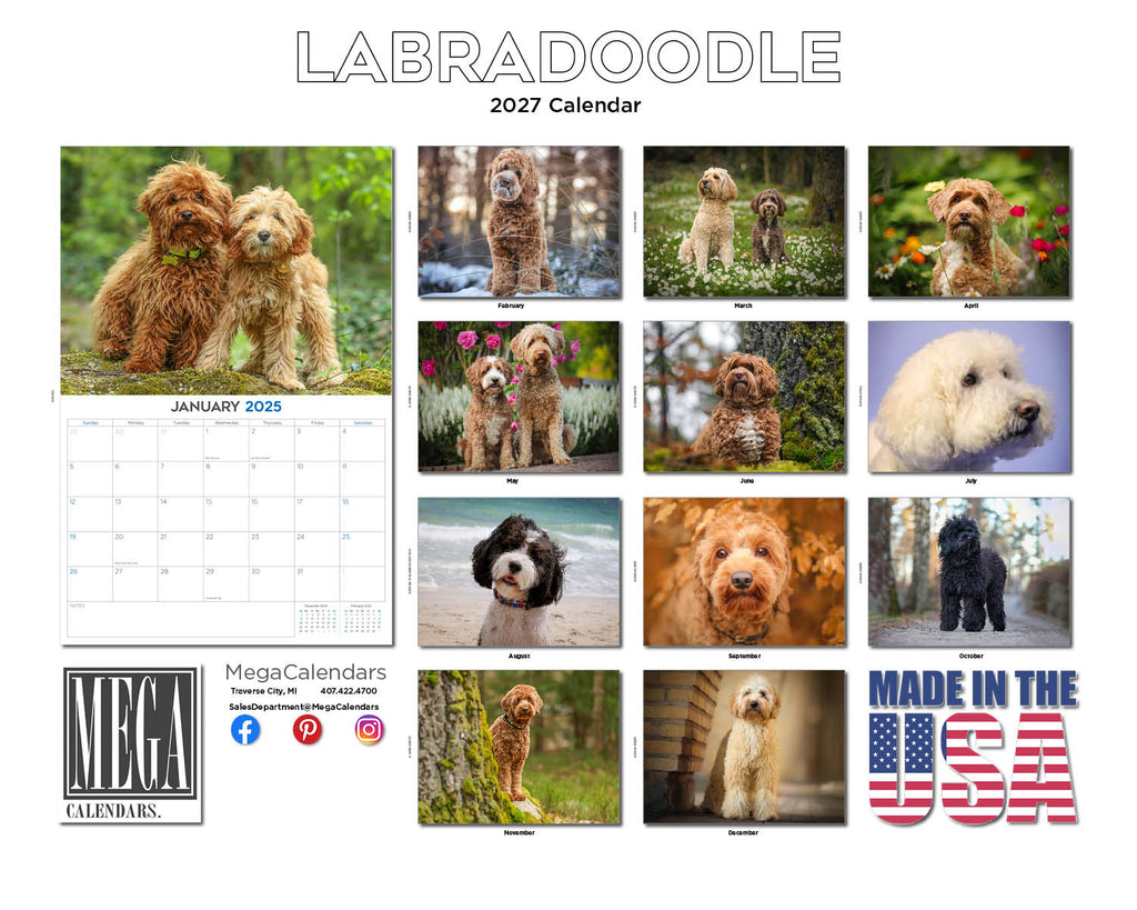 Labradoodle Wall Calendar 2027 - 12" x 9" 14-Month Dog Breed Calendar