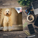 Labradoodle Wall Calendar 2027 - 12" x 9" 14-Month Dog Breed Calendar