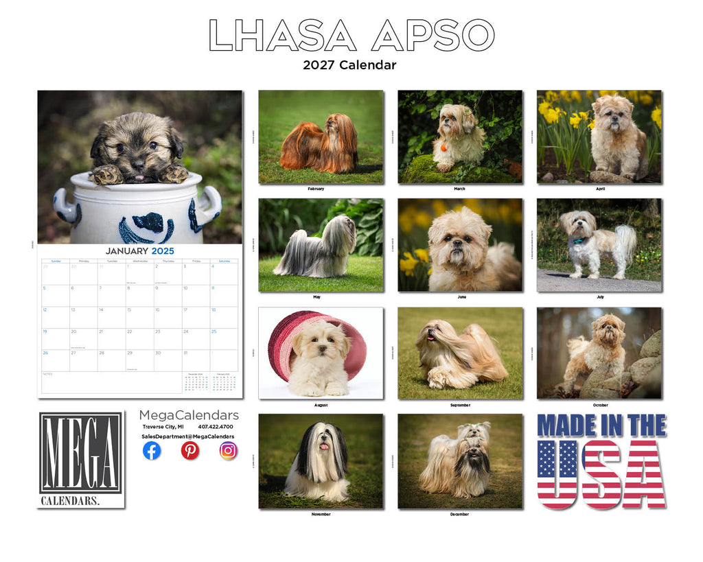 Lhasa Apso Wall Calendar 2027 - 12" x 9" 14-Month Dog Breed Calendar
