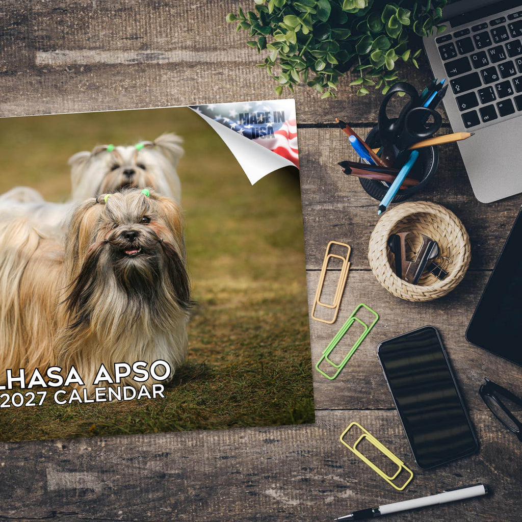 Lhasa Apso Wall Calendar 2027 - 12" x 9" 14-Month Dog Breed Calendar