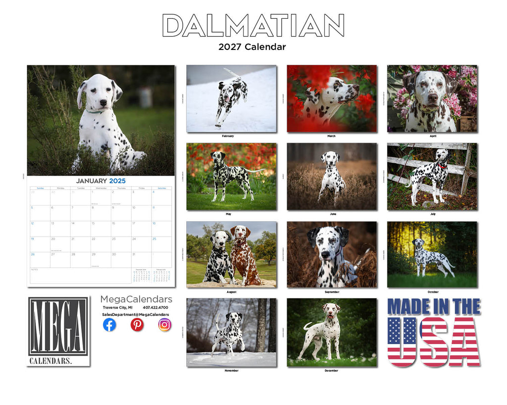 Dalmatian Wall Calendar 2027 - 12" x 9" 14-Month Dog Breed Calendar