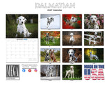 Dalmatian Wall Calendar 2027 - 12" x 9" 14-Month Dog Breed Calendar