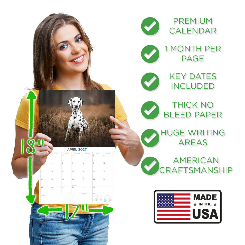 Dalmatian Wall Calendar 2027 - 12" x 9" 14-Month Dog Breed Calendar
