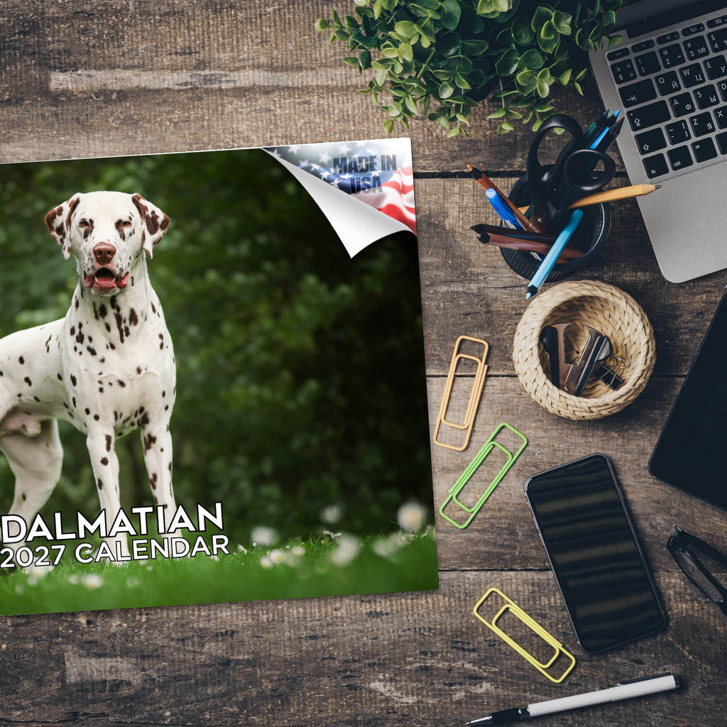 Dalmatian Wall Calendar 2027 - 12" x 9" 14-Month Dog Breed Calendar