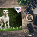Dalmatian Wall Calendar 2027 - 12" x 9" 14-Month Dog Breed Calendar