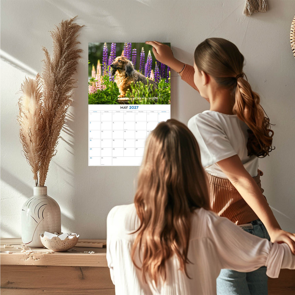 Longhaired Dachshund Wall Calendar 2027 - 12" x 9" 14-Month Dog Breed Calendar