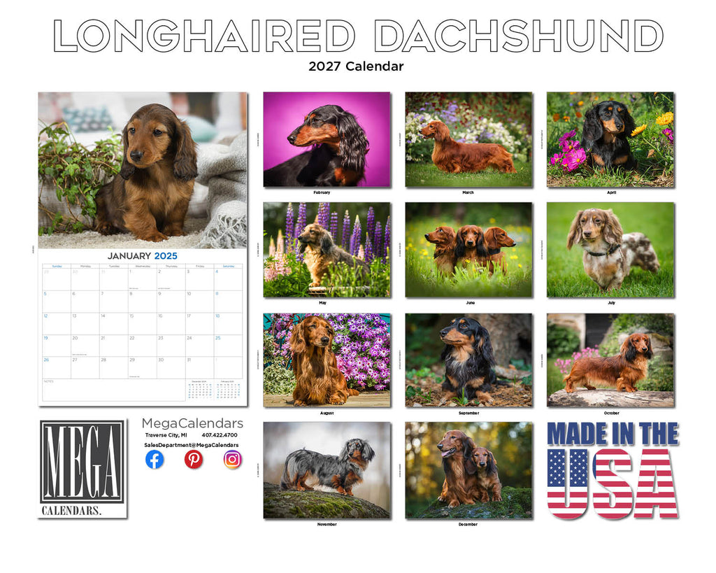 Longhaired Dachshund Wall Calendar 2027 - 12" x 9" 14-Month Dog Breed Calendar
