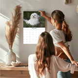 Maltese Wall Calendar 2027 - 12" x 9" 14-Month Dog Breed Calendar
