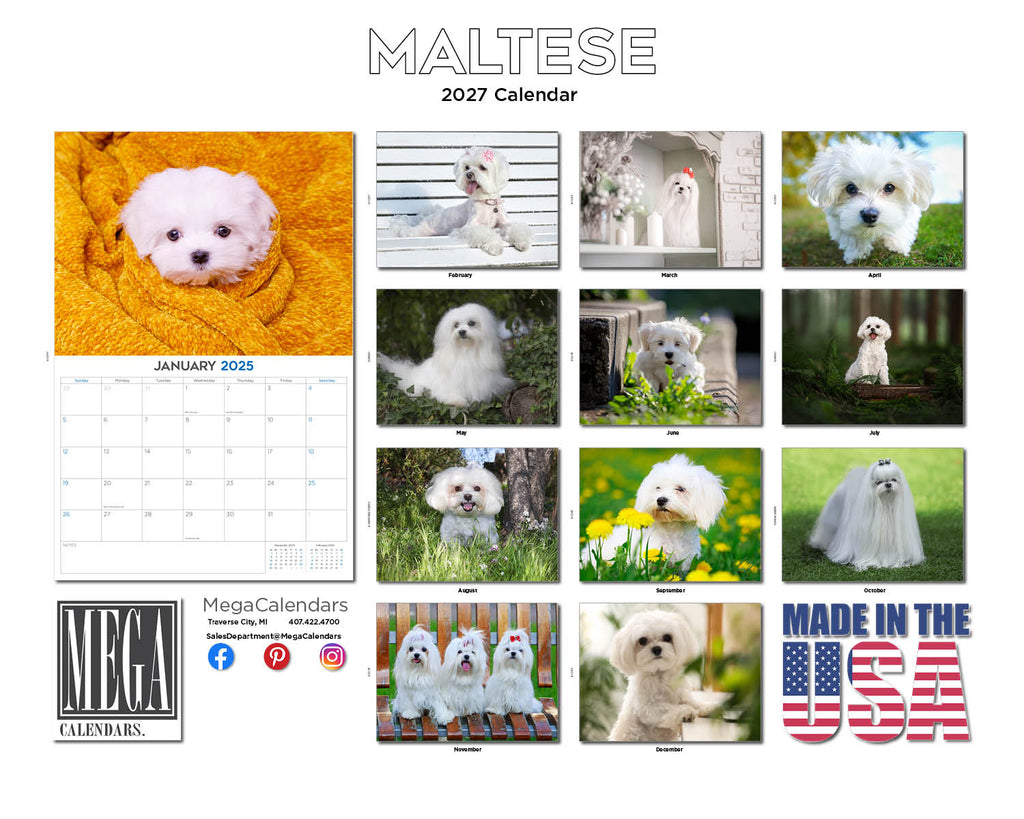 Maltese Wall Calendar 2027 - 12" x 9" 14-Month Dog Breed Calendar