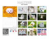 Maltese Wall Calendar 2027 - 12" x 9" 14-Month Dog Breed Calendar