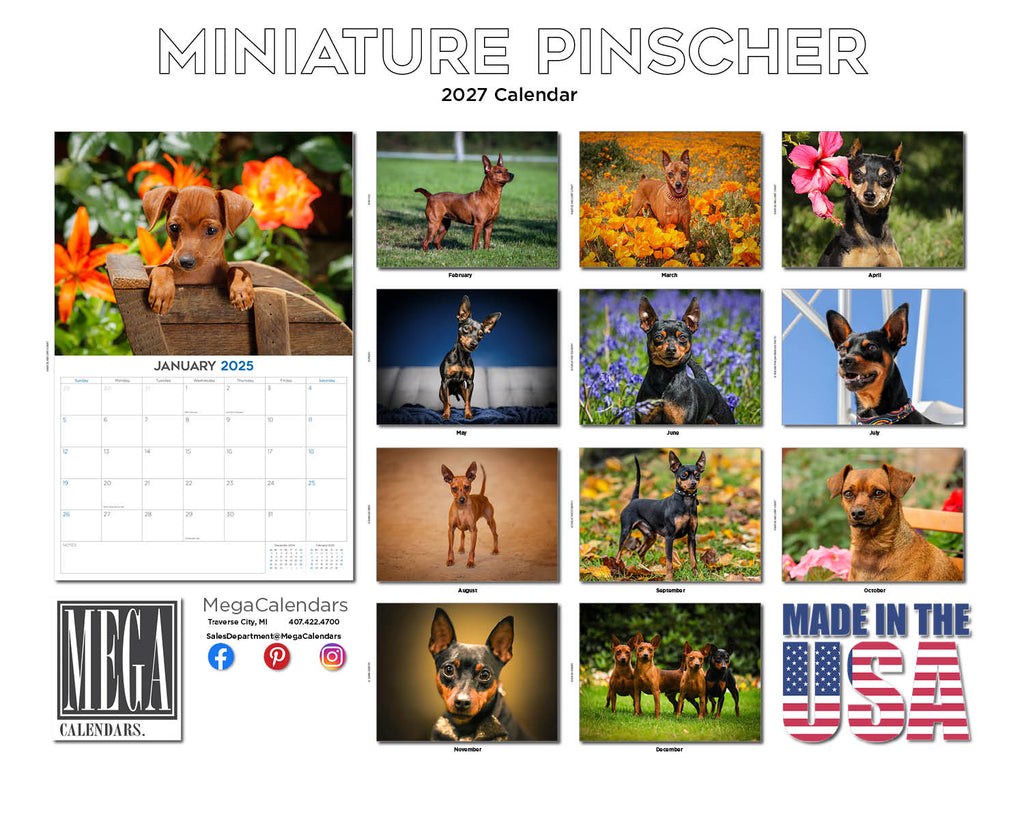 Miniature Pinscher Wall Calendar 2027 - 12" x 9" 14-Month Dog Breed Calendar