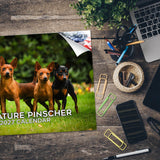 Miniature Pinscher Wall Calendar 2027 - 12" x 9" 14-Month Dog Breed Calendar