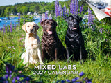 Labrador Retrievers Wall Calendar 2027 - 12" x 9" 14-Month Mixed Breed Color Calendar