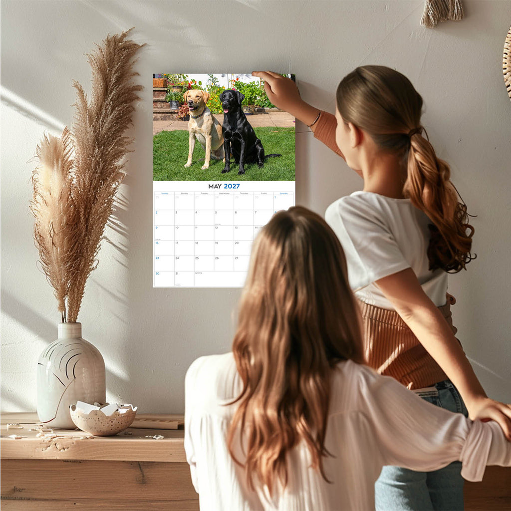 Labrador Retrievers Wall Calendar 2027 - 12" x 9" 14-Month Mixed Breed Color Calendar