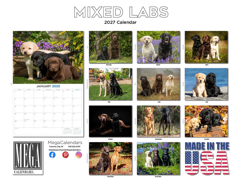 Labrador Retrievers Wall Calendar 2027 - 12" x 9" 14-Month Mixed Breed Color Calendar