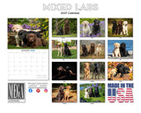 Labrador Retrievers Wall Calendar 2027 - 12" x 9" 14-Month Mixed Breed Color Calendar