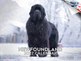 Newfoundland Dog Wall Calendar 2027 - 12" x 9" 14-Month Dog Breed Calendar