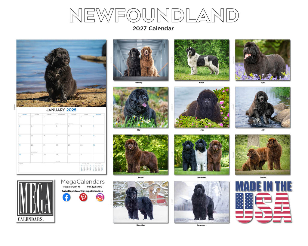 Newfoundland Dog Wall Calendar 2027 - 12" x 9" 14-Month Dog Breed Calendar