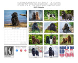 Newfoundland Dog Wall Calendar 2027 - 12" x 9" 14-Month Dog Breed Calendar