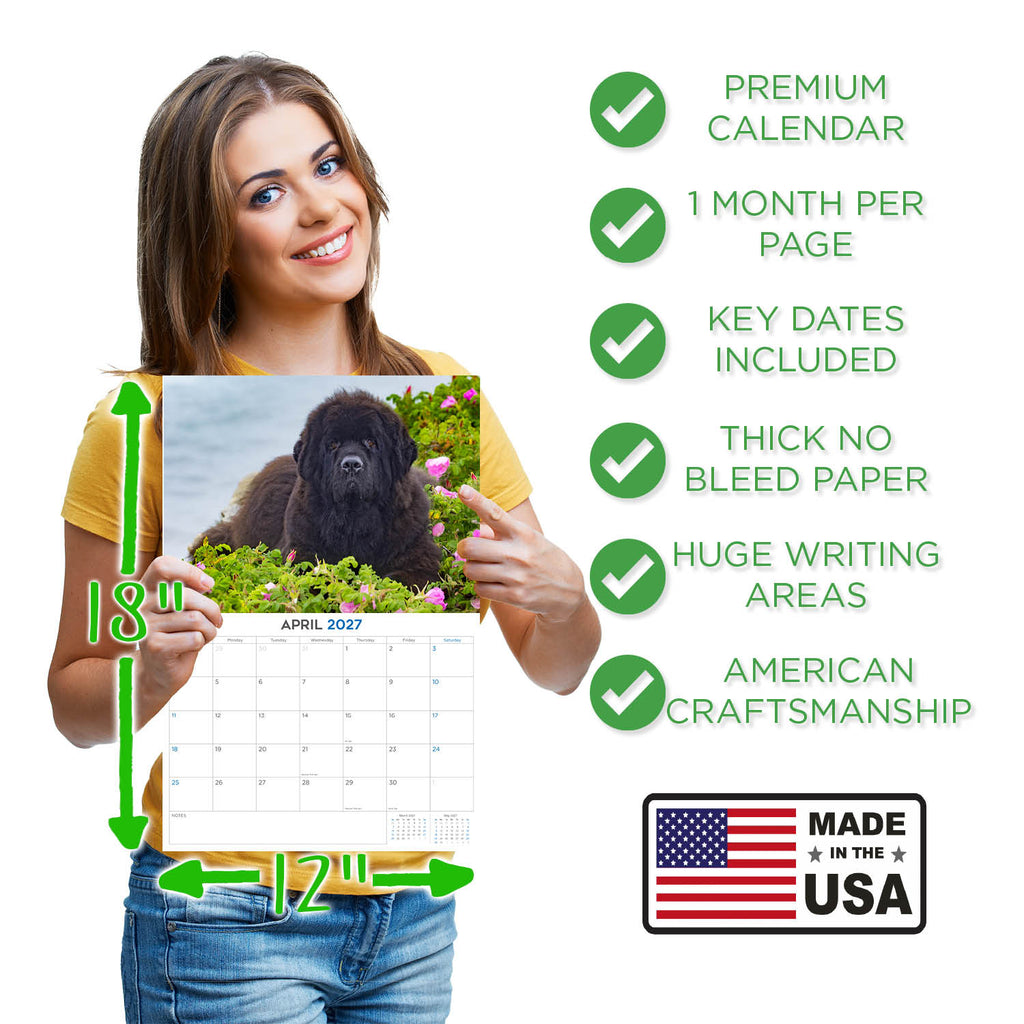 Newfoundland Dog Wall Calendar 2027 - 12" x 9" 14-Month Dog Breed Calendar
