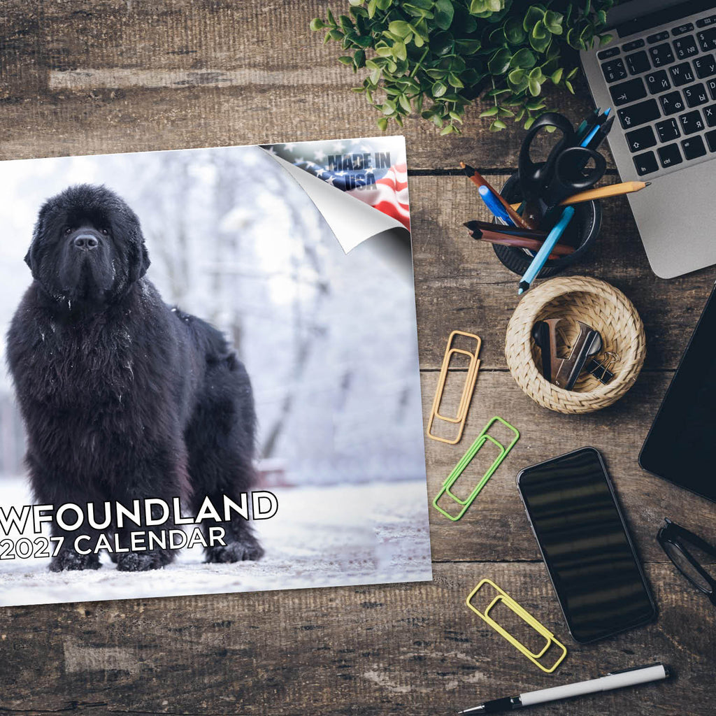 Newfoundland Dog Wall Calendar 2027 - 12" x 9" 14-Month Dog Breed Calendar