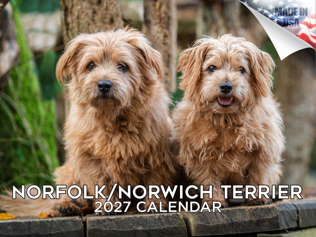 Norfolk & Norwich Terrier Wall Calendar 2027 - 12" x 9" 14-Month Dog Breed Calendar