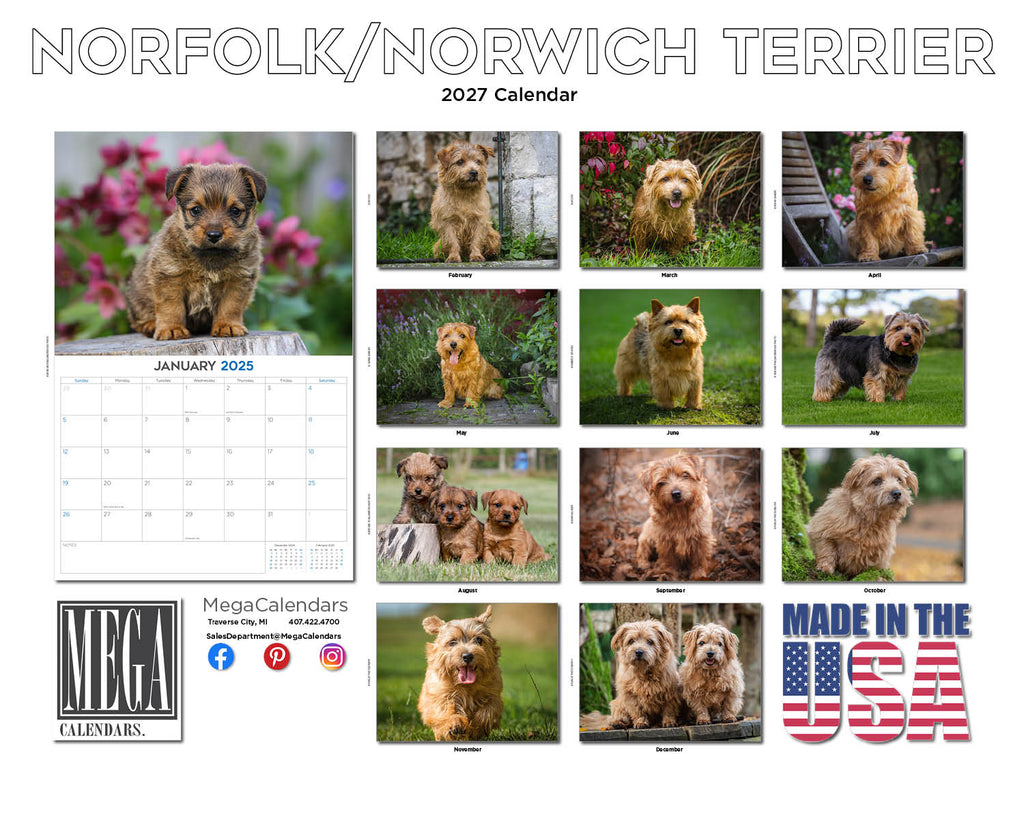 Norfolk & Norwich Terrier Wall Calendar 2027 - 12" x 9" 14-Month Dog Breed Calendar