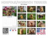 Norfolk & Norwich Terrier Wall Calendar 2027 - 12" x 9" 14-Month Dog Breed Calendar