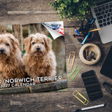 Norfolk & Norwich Terrier Wall Calendar 2027 - 12" x 9" 14-Month Dog Breed Calendar