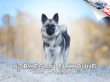Norwegian Elkhound Wall Calendar 2027 - 12" x 9" 14-Month Dog Breed Calendar