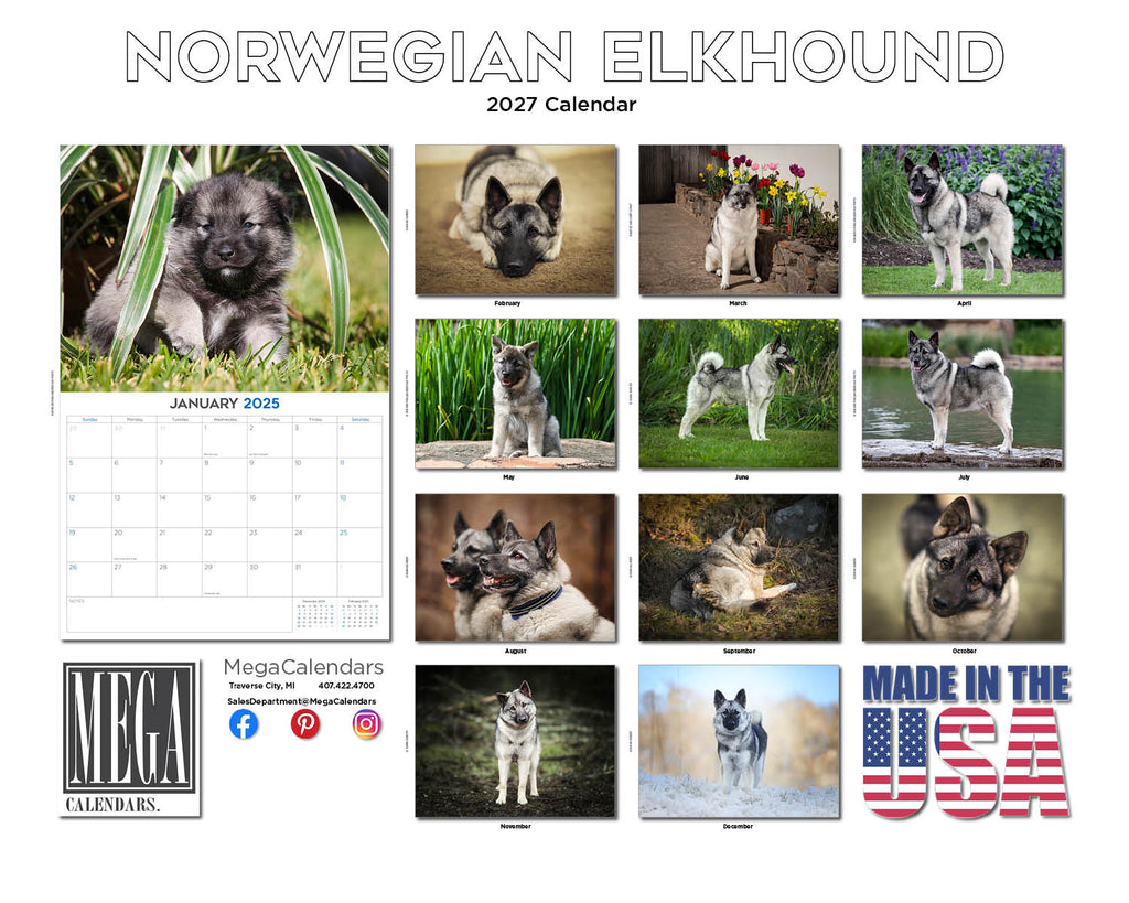Norwegian Elkhound Wall Calendar 2027 - 12" x 9" 14-Month Dog Breed Calendar