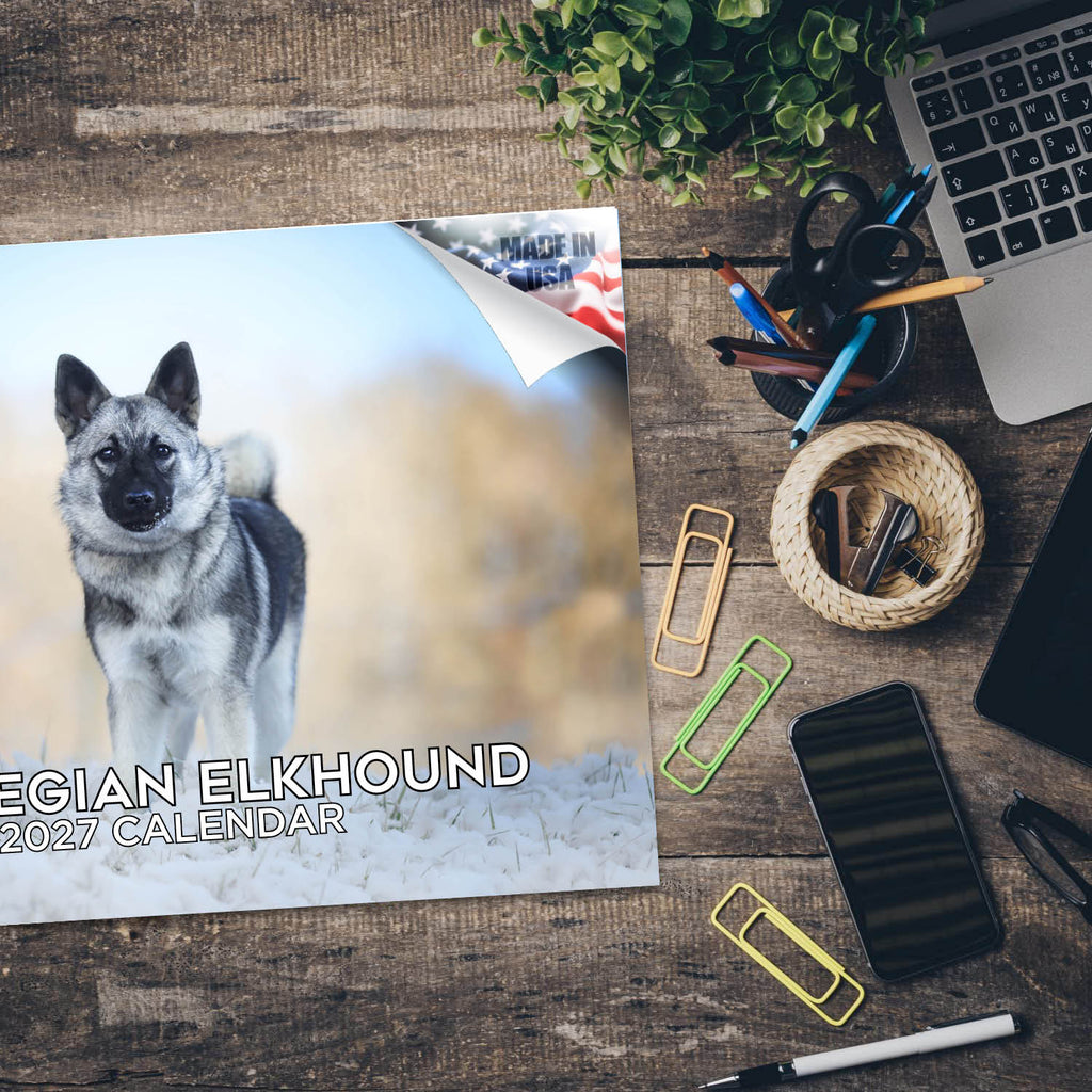 Norwegian Elkhound Wall Calendar 2027 - 12" x 9" 14-Month Dog Breed Calendar