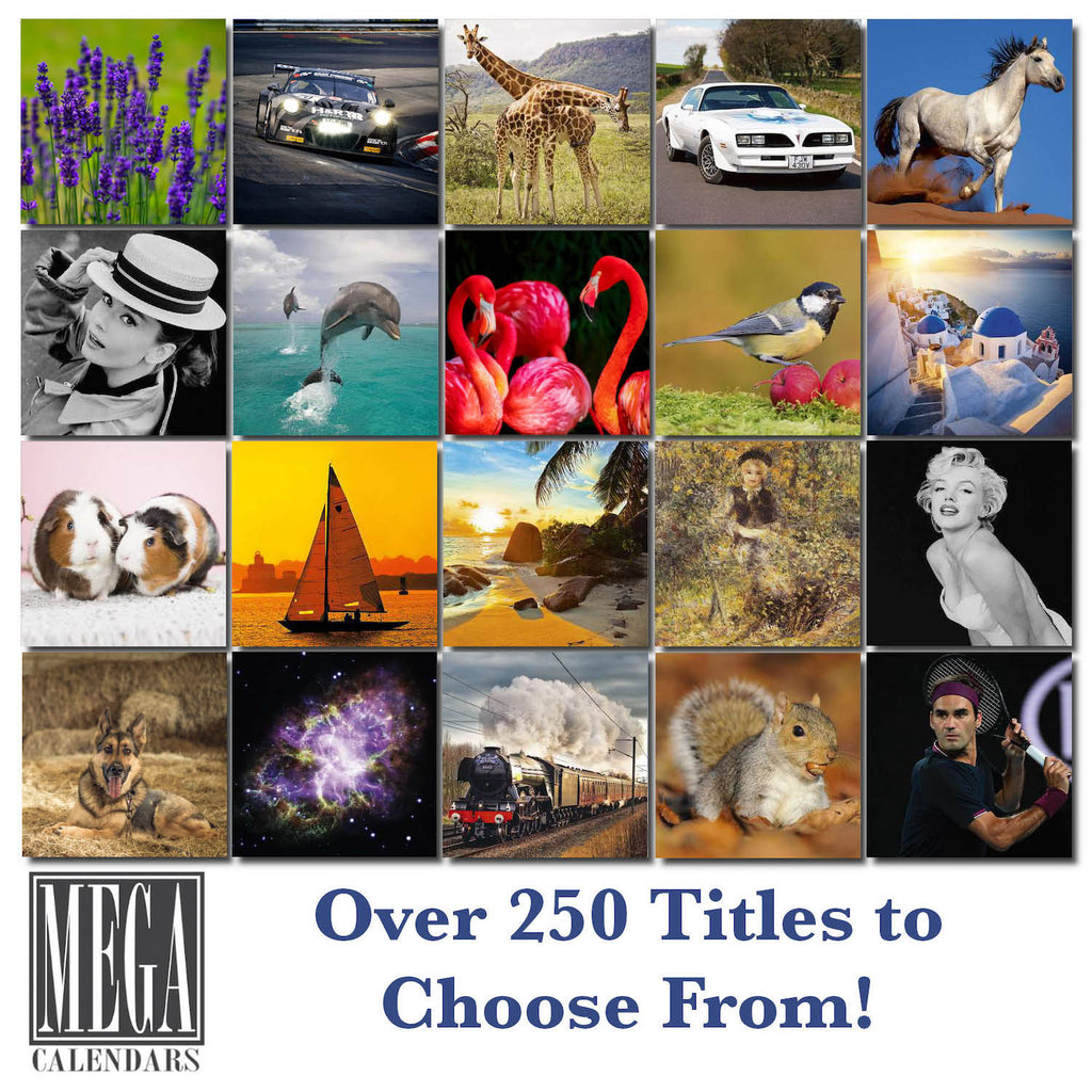 Norwegian Elkhound Wall Calendar 2027 - 12" x 9" 14-Month Dog Breed Calendar