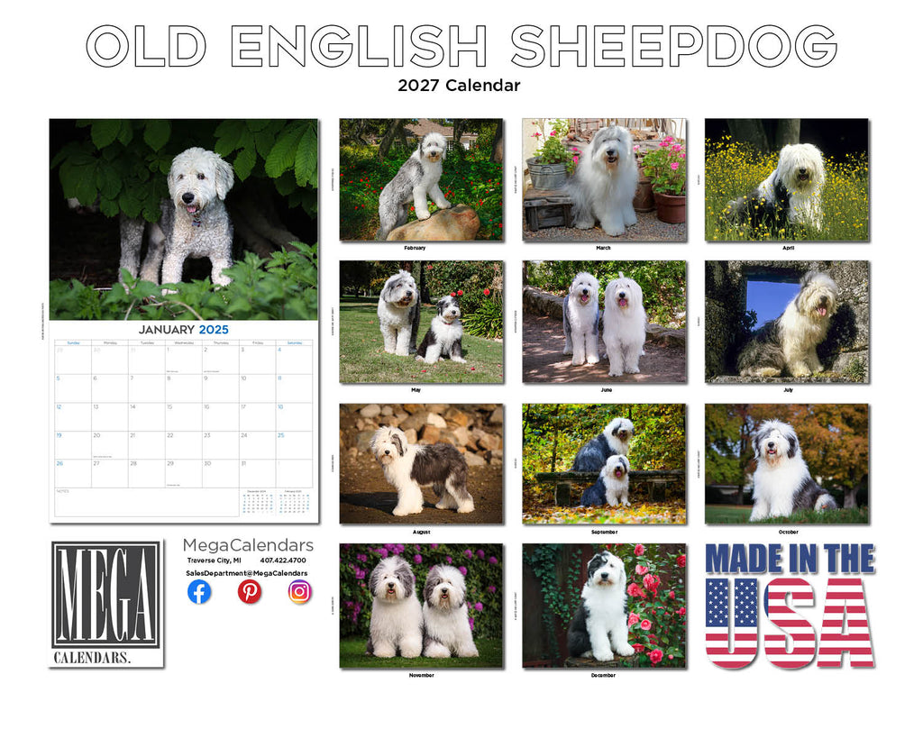 Old English Sheepdog Wall Calendar 2027 - 12" x 9" 14-Month Dog Breed Calendar