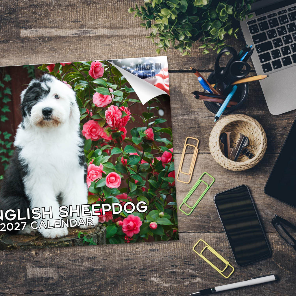 Old English Sheepdog Wall Calendar 2027 - 12" x 9" 14-Month Dog Breed Calendar
