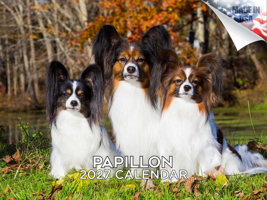 Papillon Wall Calendar 2027 - 12" x 9" 14-Month Dog Breed Calendar