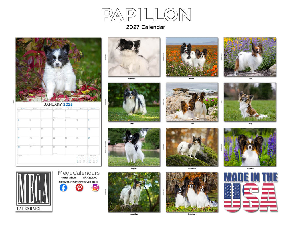 Papillon Wall Calendar 2027 - 12" x 9" 14-Month Dog Breed Calendar