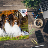 Papillon Wall Calendar 2027 - 12" x 9" 14-Month Dog Breed Calendar