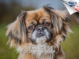 Pekingese Wall Calendar 2027 - 12" x 9" 14-Month Dog Breed Calendar