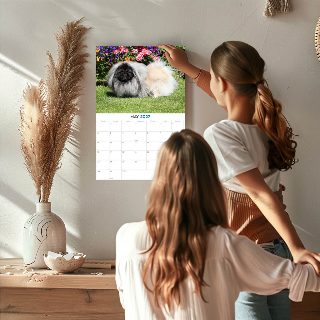 Pekingese Wall Calendar 2027 - 12" x 9" 14-Month Dog Breed Calendar