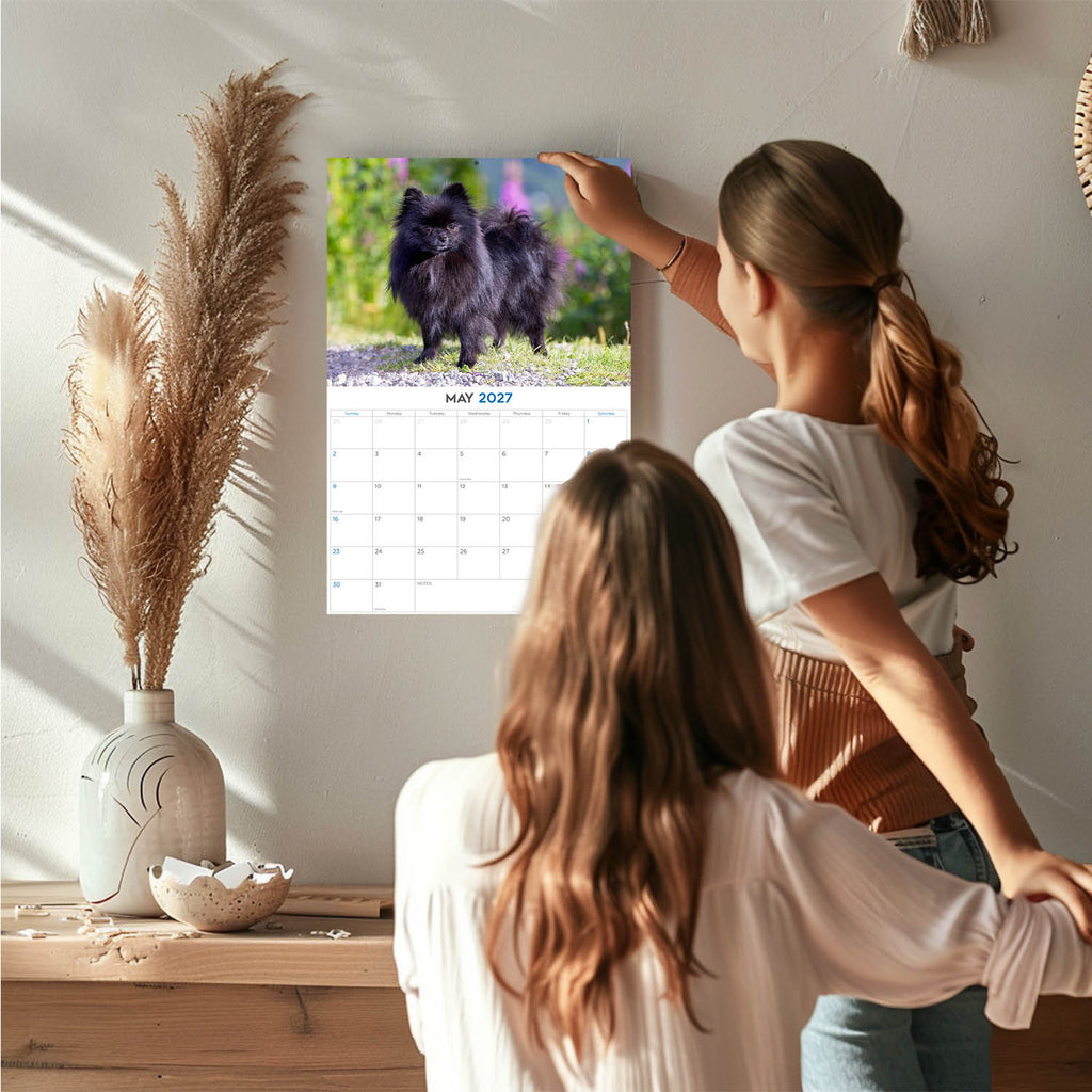 Pomeranian Wall Calendar 2027 - 12" x 9" 14-Month Dog Breed Calendar